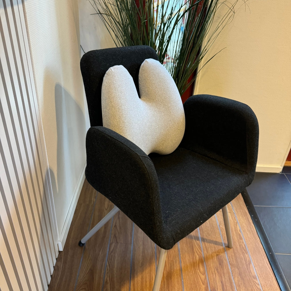 Orthopedic Lumbar Cushion